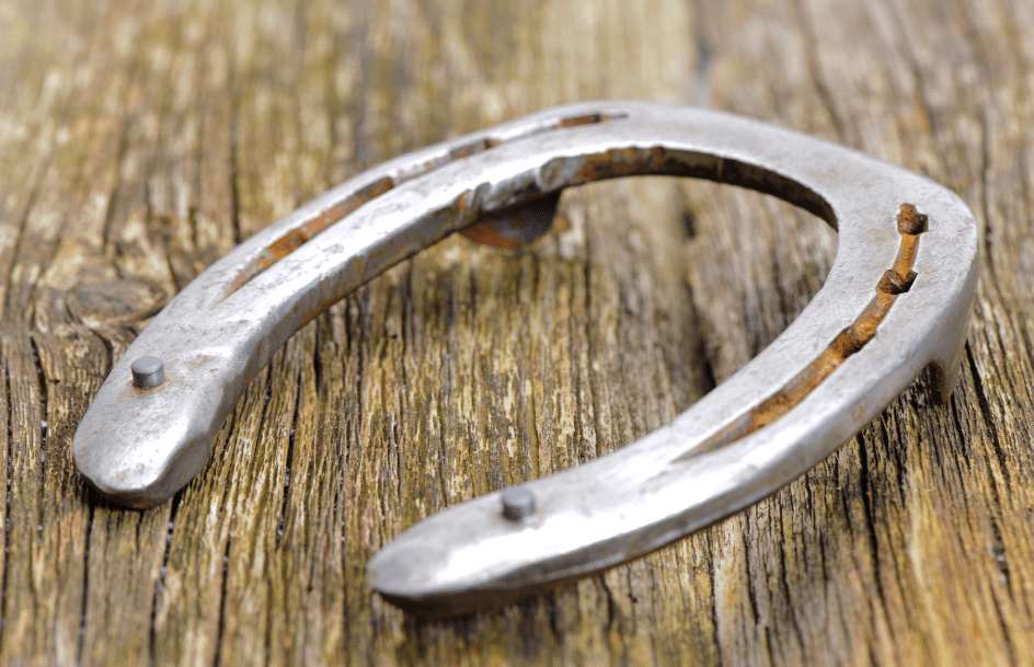 Horse Shoe Reading 